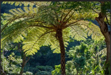 Monteverde Costa Rica